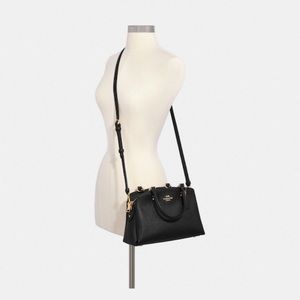 Mini Lillie carryall